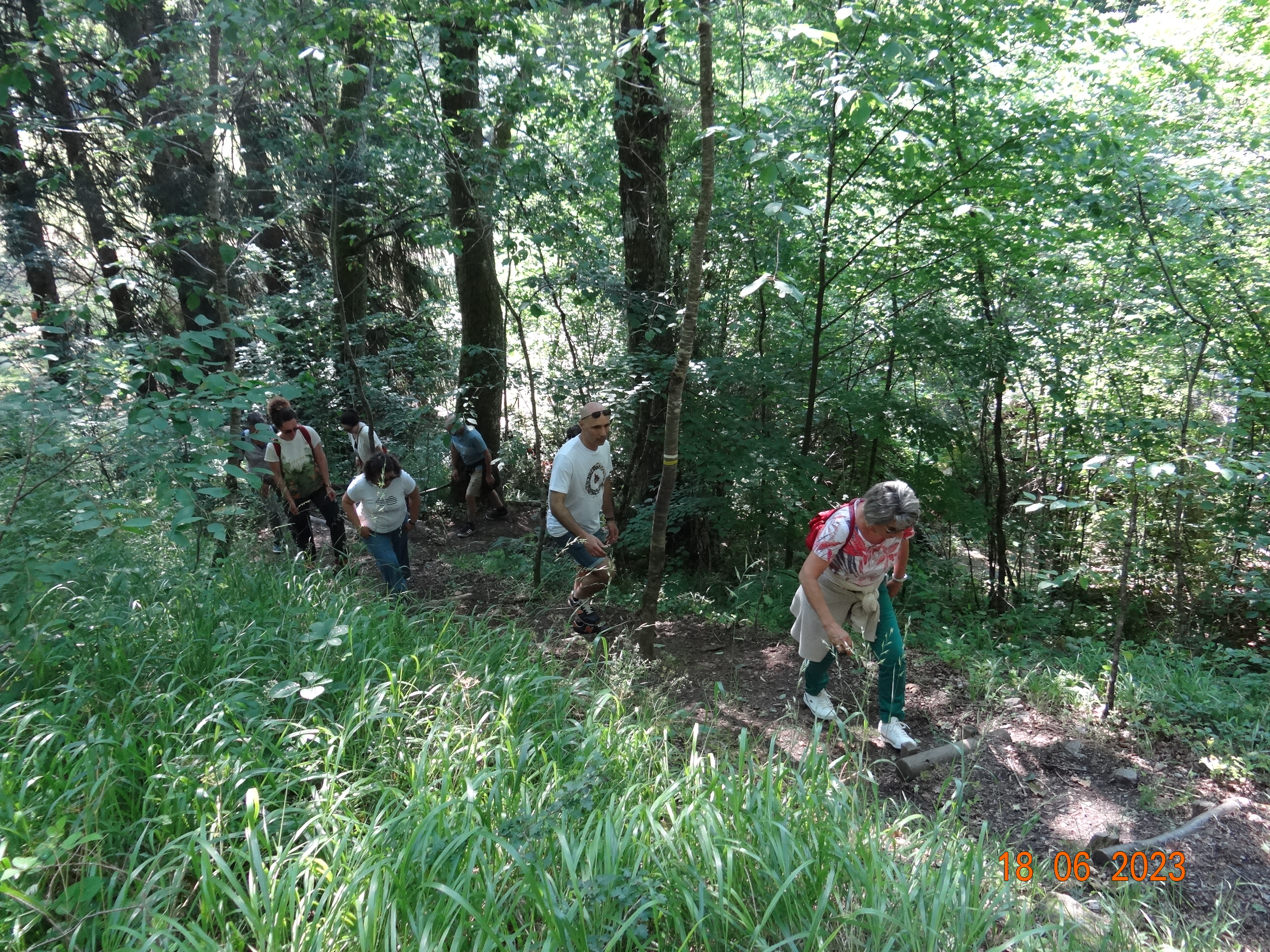 Image de l'article : VOYAGE AUTOUR DU LAC DE BORT LES ORGUES  3