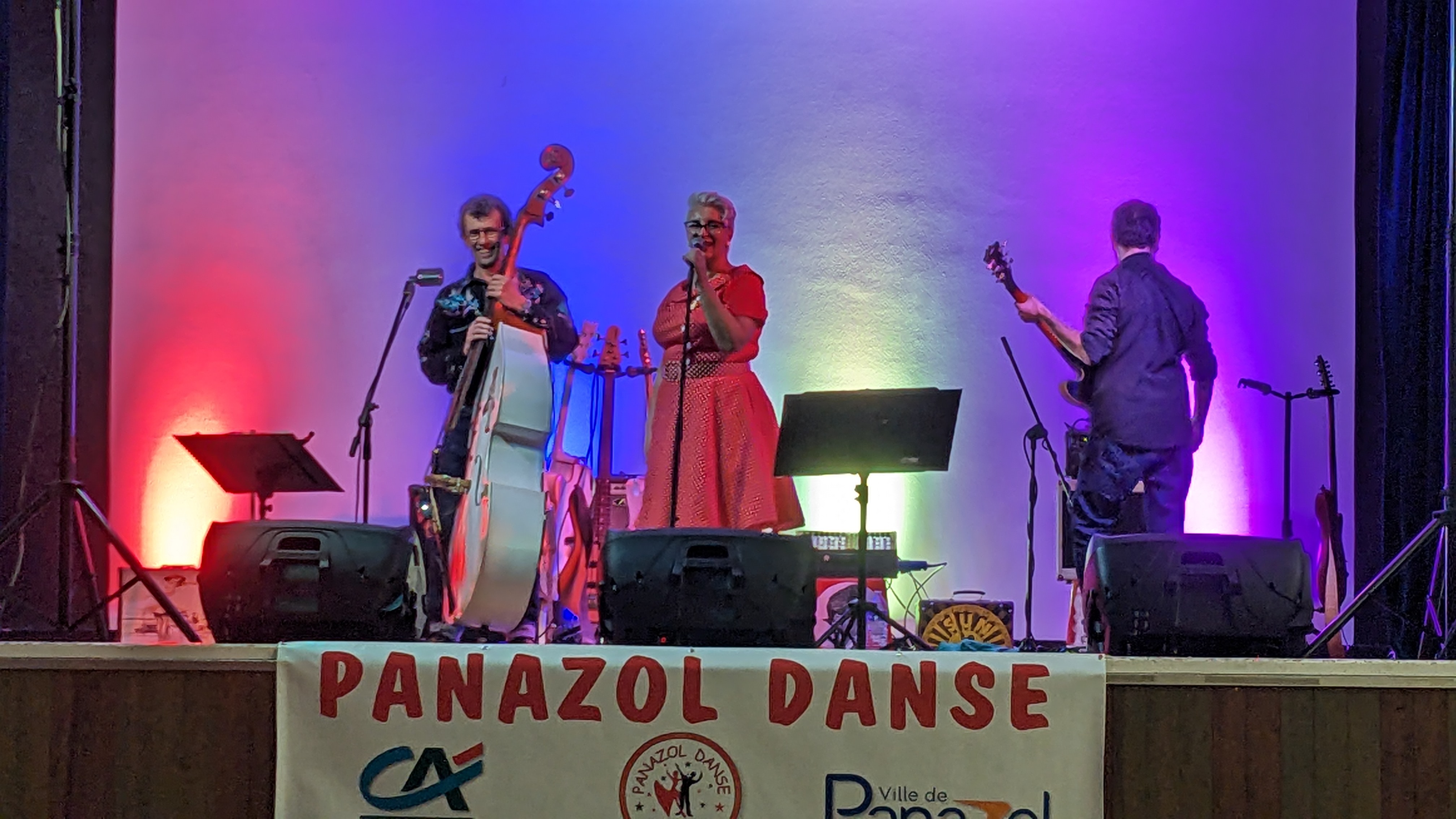 Image de l'article : REPAS DANSANT ROCK'ROLL AVEC THE ALLIGATORZ