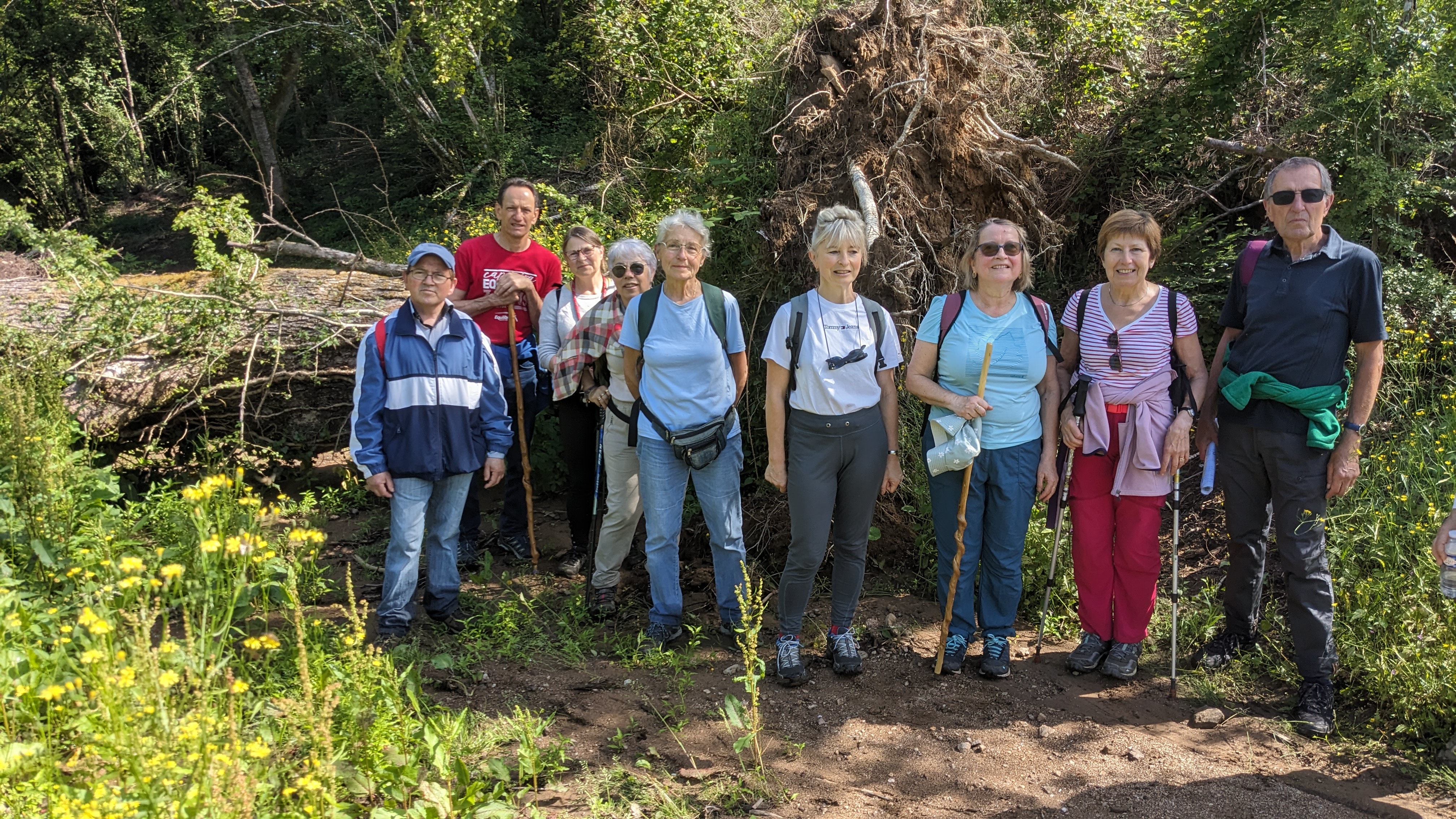 Image de l'article : JOURNEE CHAMPETRE SAINT MEARD 23 JUIN 2024